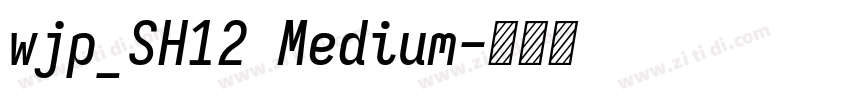 wjp_SH12 Medium字体转换 wjp_SH12 Medium字体转换